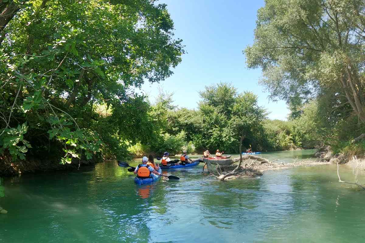 Clear green water of the Acheron river between plane trees with kayaks in the distance, the setting of an Acheron river tour