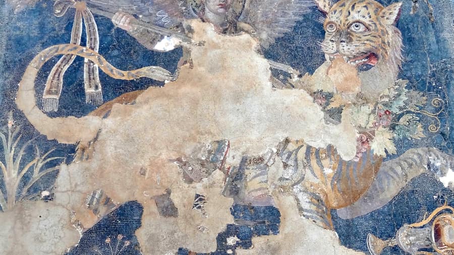 A Hellenistic mosaic of Dionysos on a panther from Delos, shown on a Delos tour