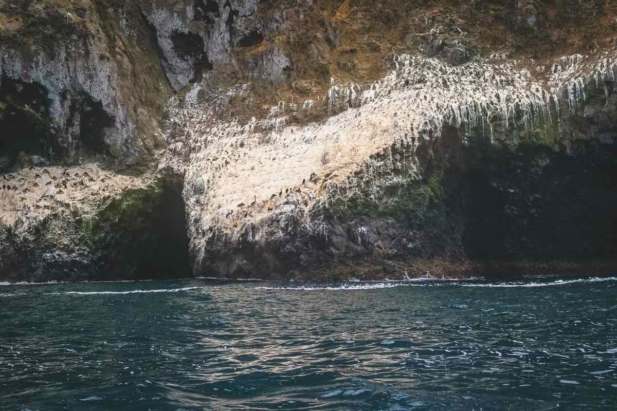 The dark mouth of a sea cave in pale limestone cliffs above calm water on the Mani coast, the landscape of a Diros caves tour