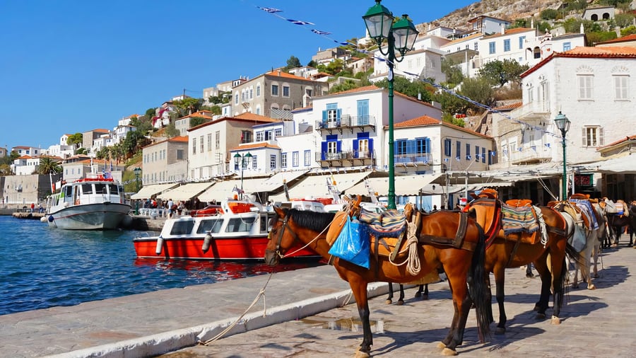 Saddled mules waiting on the harbour quay on a Hydra day trip