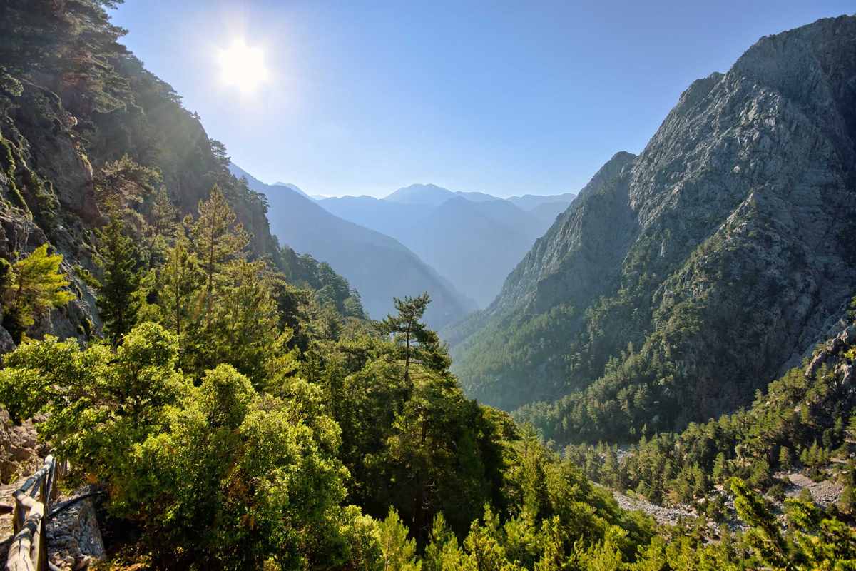 A deep gorge between pine-covered mountain slopes in Sfakia under a bright sun, the landscape of an Imbros gorge hike