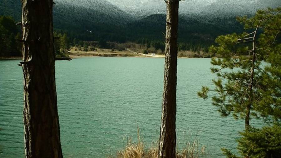 Lake Doxa seen between pine trunks with the snowy Ziria peaks behind