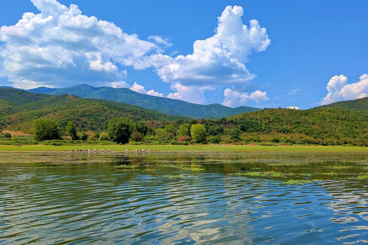 The calm water of Lake Kerkini with green hills and mountains behind, the setting of a Lake Kerkini tour
