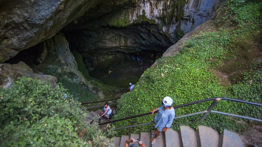 Visitors walk down the stone steps into the green mouth of the Dikteon cave on a Lasithi Plateau tour