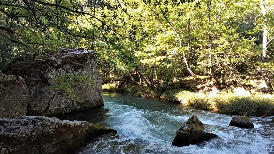 The Lousios river running over rocks under trees, a view on a Lousios gorge hike