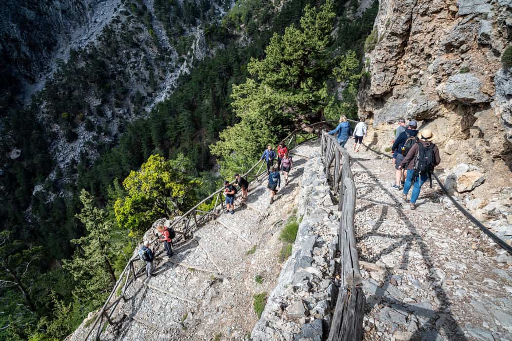 Hikers walk down a stone path with wooden railings above the pine-covered drop of the gorge on a Samaria gorge tour