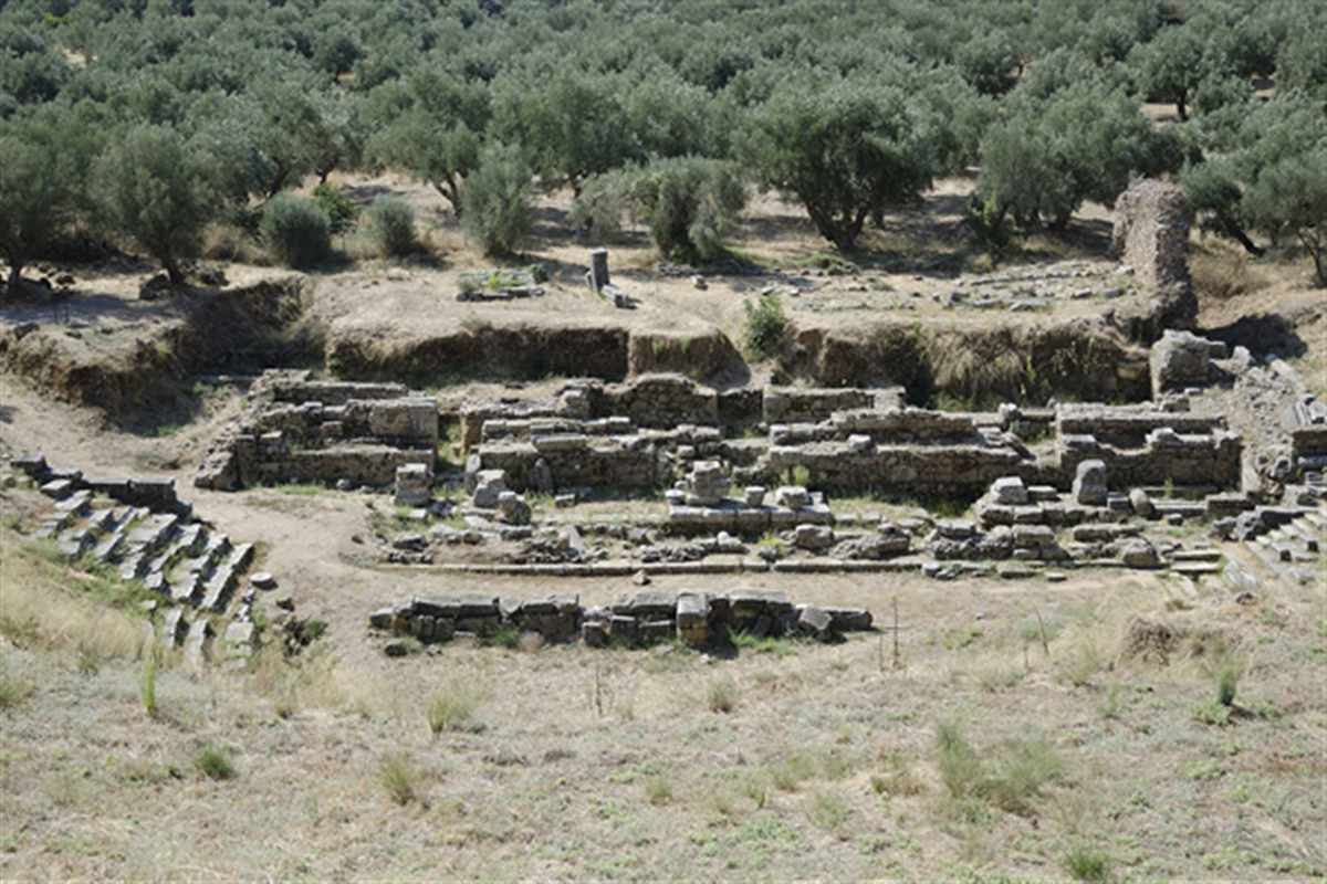 Ruins of the ancient theatre of Sparta among olive trees, Sparta day trip